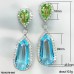 TEDH278 CSH  Drop Earrings