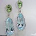 TEDH278 CSH  Drop Earrings